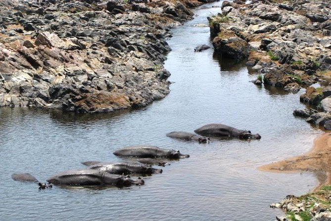 2 Days Selous Game Reserve Safari from Zanzibar or Dar es salaam - What the $840 price really covers