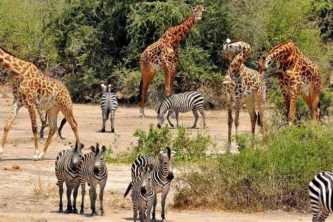 2 Days Selous Game Reserve Safari from Zanzibar or Dar es salaam - Sunrise on Lake Manze