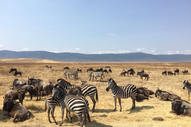 2 Days Tanzania Midrange Group Join Safari - What to pack for two long park days