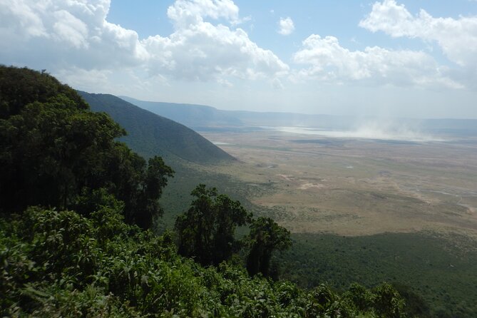 2 Days Tarangire and Ngorongoro Crater Tour - What makes Tarangire worth a full day