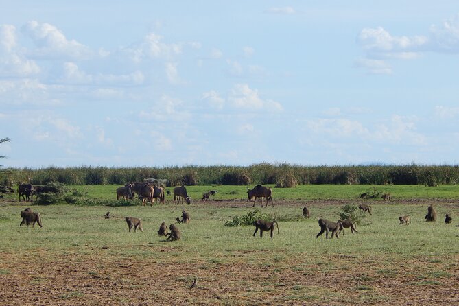 2 Days Tarangire and Ngorongoro Crater Tour - Karatu gives you a useful overnight base