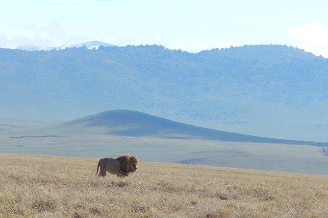 2 Days Tarangire and Ngorongoro Crater Tour - Five hours on the crater floor