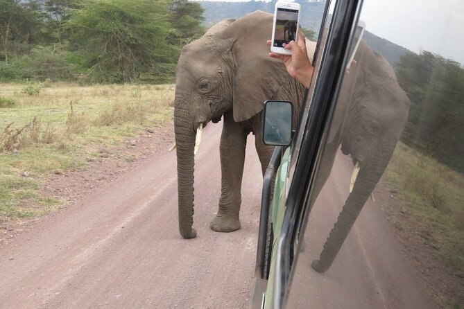 2 Days Tarangire and Ngorongoro Crater Tour - Leaving Arusha at 5:30 a.m.