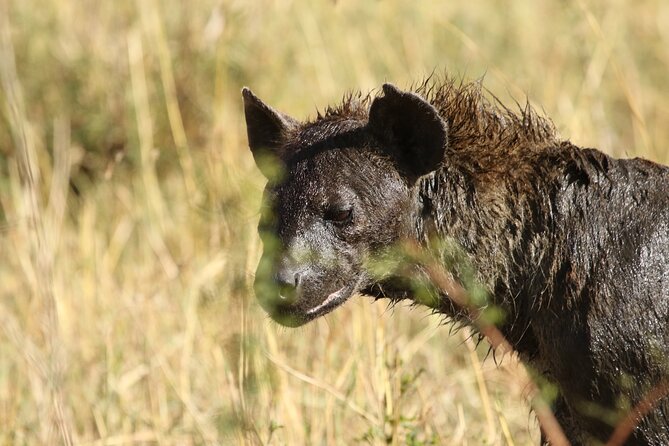 2 Days Tarangire and Ngorongoro Group Camping Safari - What the price includes in practical terms