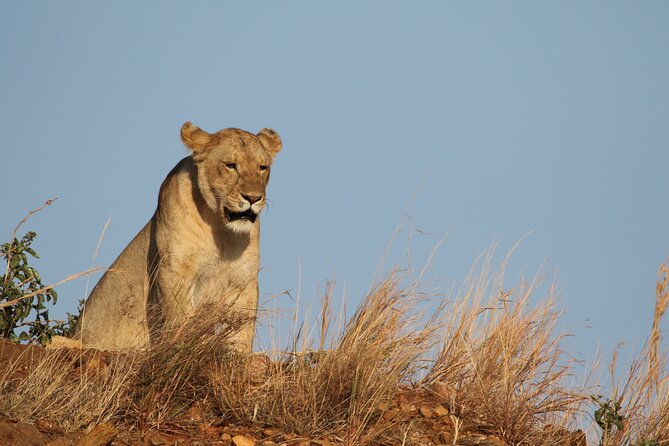 2 Days Tarangire and Ngorongoro Group Camping Safari - Who should book this safari