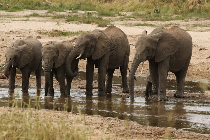 2 Days Tarangire and Ngorongoro Mid-Range Group Safari - What the $550 price really includes