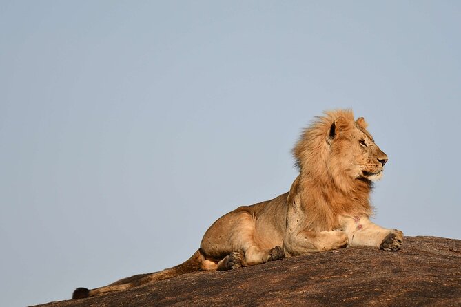 2 Days Tarangire and Ngorongoro Safari from Zanzibar - How the $2,167 price compares in value