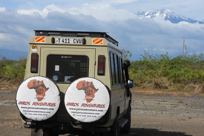 2 Days Tarangire and Ngorongoro Safari from Zanzibar - Olduvai Gorge and Maasai culture