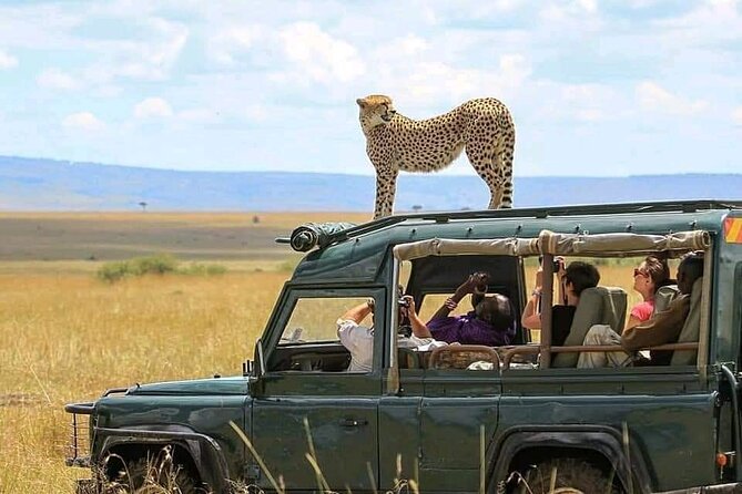 2 days Tarangire and Ngorongoro short safari - Key points at a glance