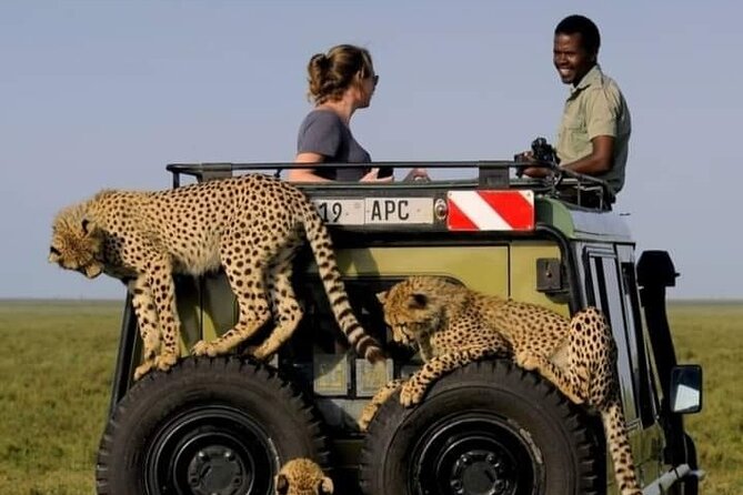 2 days Tarangire and Ngorongoro short safari - What the feedback suggests about service