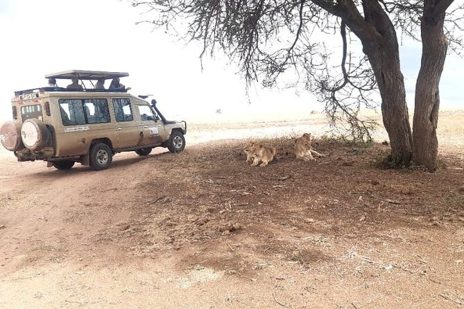2 Days Tarangire & Ngorongoro Budget Safari Tour Tanzania - Day two: descending into Ngorongoro Crater