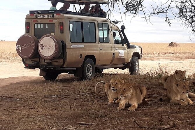 2 Days Tarangire & Ngorongoro Budget Safari Tour Tanzania - Who should book this safari?