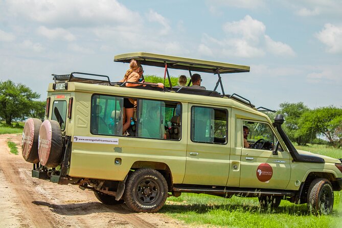 2 Days Tarangire & Ngorongoro Budget Safari Tour Tanzania - What the safari vehicle and group size mean