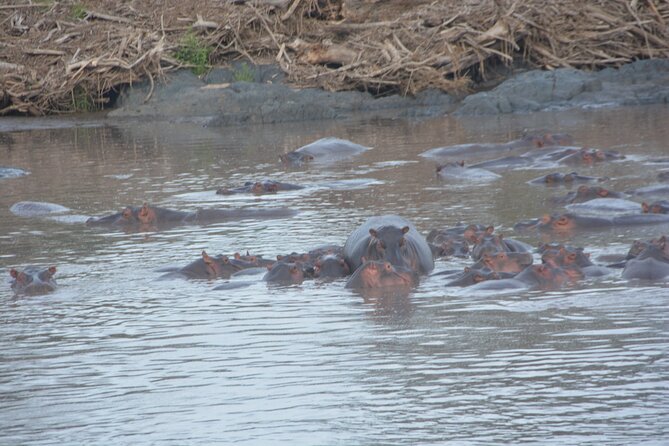 2 Days Tour From Zanzibar to Nyerere National Park (Selous GR) - The Rufiji River boat safari from 10:00 a.m.