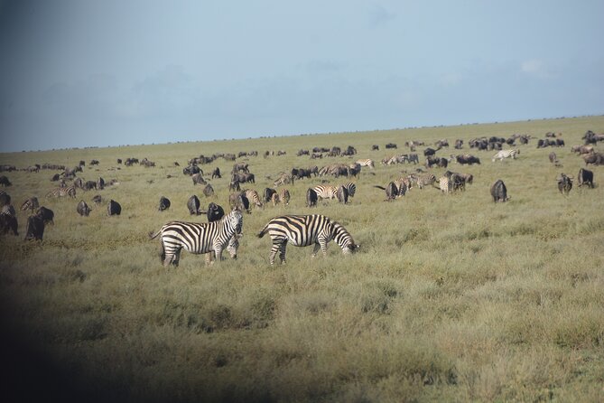 2 Days Tour From Zanzibar to Nyerere National Park (Selous GR) - Mtemere Airstrip and the return to Zanzibar