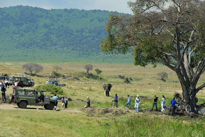 2 days Tour Tarangire & Ngorongoro - Day one at Tarangire: elephants and open-country wildlife