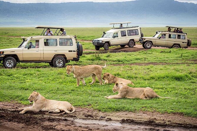 2 days Tour Tarangire & Ngorongoro - Day two begins above the Ngorongoro Crater