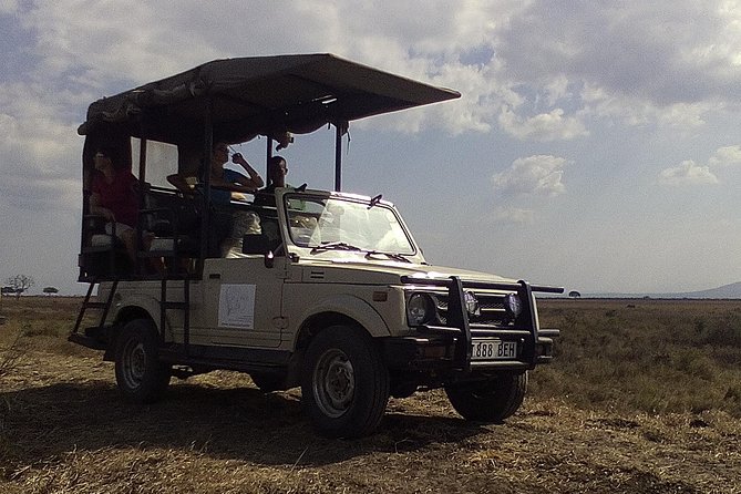 2 Days Wildlife Safari in Mikumi National Park - Why two days in Mikumi can work well