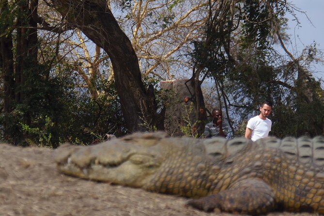 2 Days Wildlife Safari in Mikumi National Park - Meals and the practical rhythm of the trip