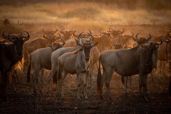 3-Day Camping Safari Tarangire, Lake Manyara & Ngorongoro crater - Why this three-day route works