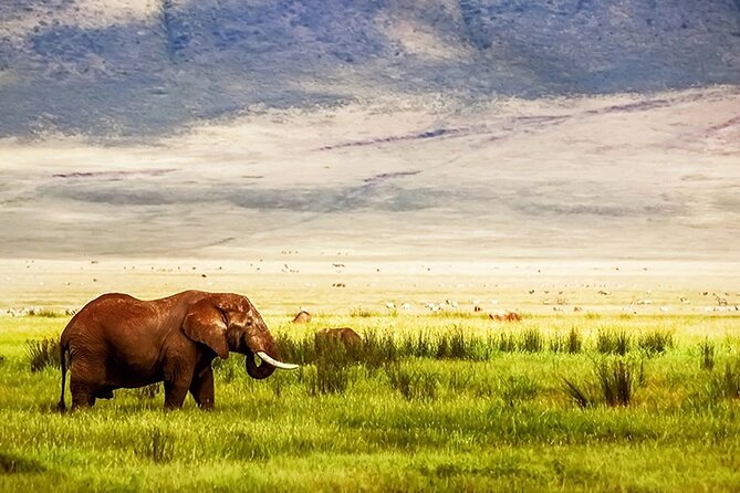 3-Day Camping Safari Tarangire, Lake Manyara & Ngorongoro crater - What you should pack and expect each day