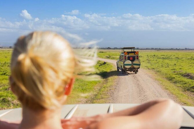 3 Day Classic, Guided Serengeti Safari - Who will enjoy this safari most?