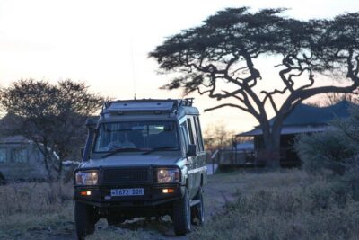 3-Day Classic Serengeti Safari