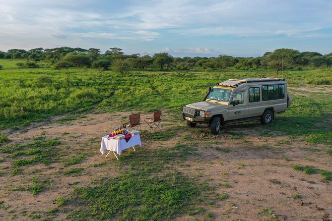 3-Day Classic Serengeti Safari - Who should book this three-day plan