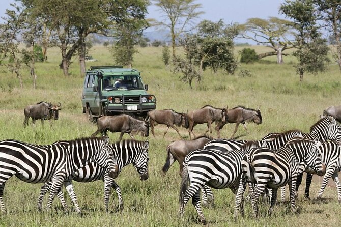 3-Day Ngorongoro Crater Manyara and Tarangire Safari from Arusha - Key points at a glance