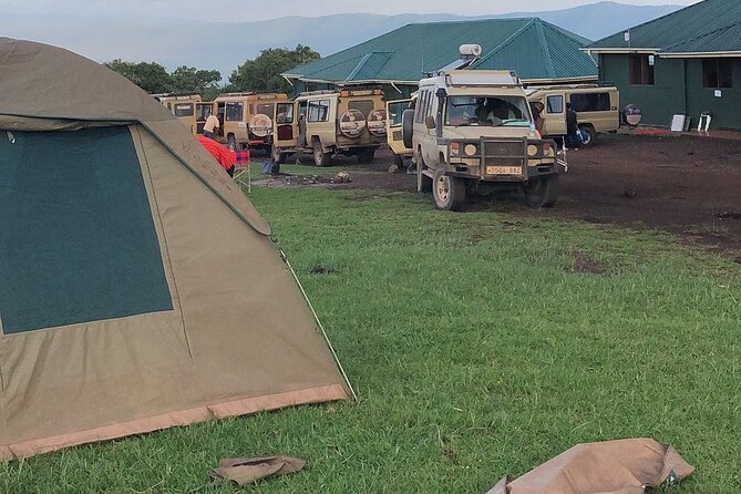 3-Day Ngorongoro Crater Manyara and Tarangire Safari from Arusha - Day 3: Lake Manyara before the return to Arusha