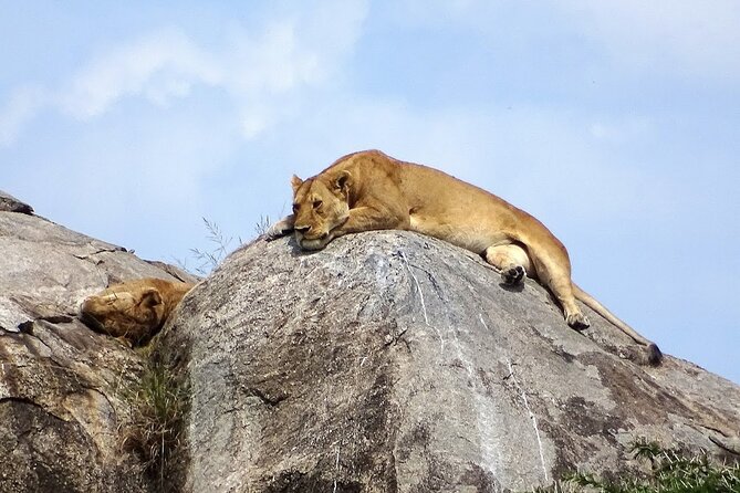 3-Day Ngorongoro Crater Manyara and Tarangire Safari from Arusha - Who should book this safari?
