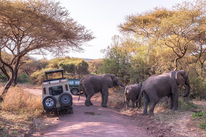 3-Day Private Safari to Lake Manyara, Tarangire & Ngorongoro - Three parks, three very different safari moods