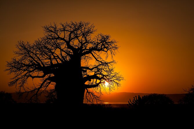 3-Day Private Safari to Lake Manyara, Tarangire & Ngorongoro - Who should book this three-day safari