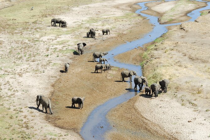 3-Day Private Safari to Lake Manyara, Tarangire & Ngorongoro - Migombani Campsite and the value of a private base