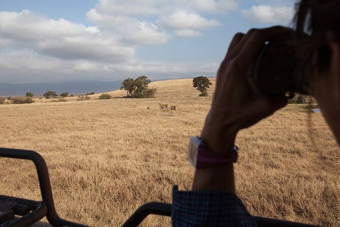 3 Day Private Serengeti Safari Tour with One Way Flight - Is $1,477 good value?