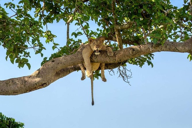 3-Day Safari to Ngorongoro, Tarangire & Lake Manyara NP - Why this three-day route works