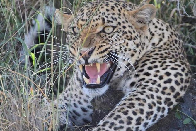 3-Day Safari to Ngorongoro, Tarangire & Lake Manyara NP - What $970 includes and what it does not