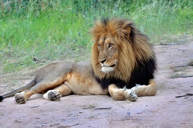 3-Day Safari to Ngorongoro, Tarangire & Lake Manyara NP - Who will enjoy this trip most