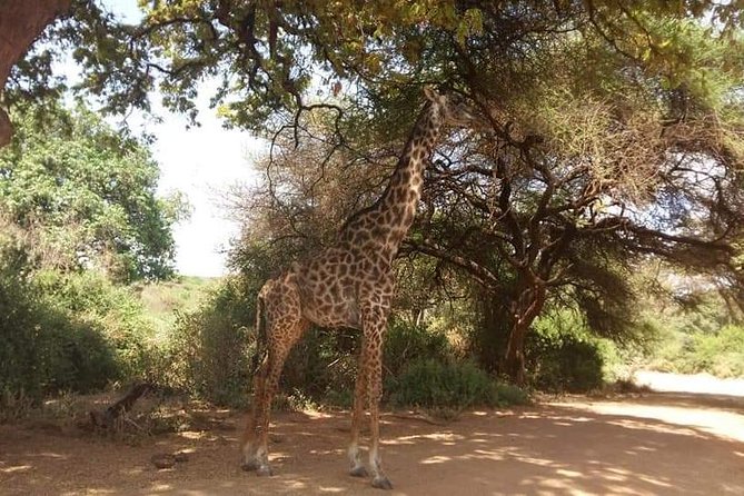 3-Day Safari to Ngorongoro, Tarangire & Lake Manyara NP - A few practical checks before you pay