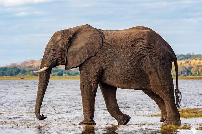3 Day Safari to Serengeti National Park and Ngorongoro Crater - Two famous parks in three demanding days