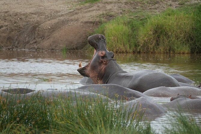 3 Day Safari to Serengeti National Park and Ngorongoro Crater - What the $855 price really buys