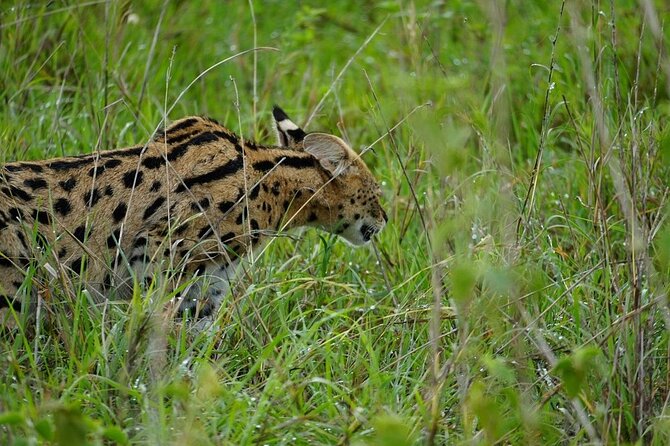 3 Day Safari to Serengeti National Park and Ngorongoro Crater - Organization and the human side of the trip