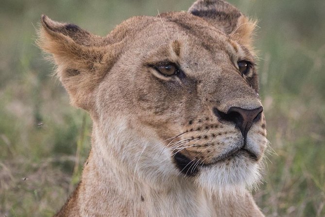3-Day Selous Reserve mid-Range Safari - Why the Rufiji River makes this safari different
