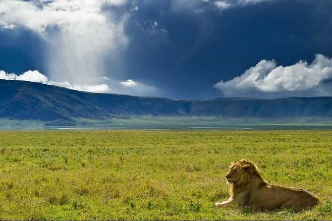 3 Day Sharing Safari - Manyara, Ngorongoro Crater and Tarangire National Parks - Key points to know before booking