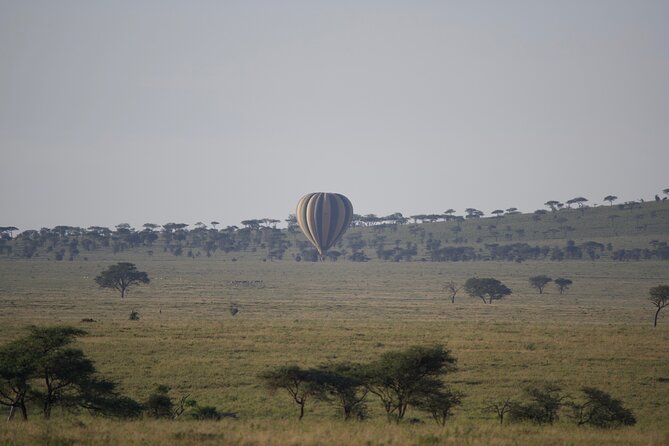 3 Day Sharing Safari - Manyara, Ngorongoro Crater and Tarangire National Parks - The pace, food, and practical comfort
