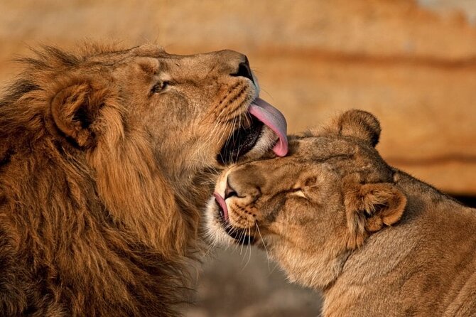 3 Day Sharing Safari - Manyara, Ngorongoro Crater and Tarangire National Parks - Who will get the most from this safari