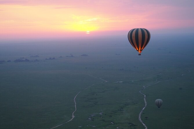3 Day Sharing Safari - Manyara, Ngorongoro Crater and Tarangire National Parks - Day two inside Ngorongoro Crater