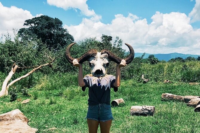 3-Day Tarangire, Lake Manyara and Ngorongoro - Day one: elephants and baobabs in Tarangire