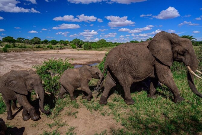 3-Day Tarangire, Lake Manyara and Ngorongoro - Comfort, timing, and practical tradeoffs