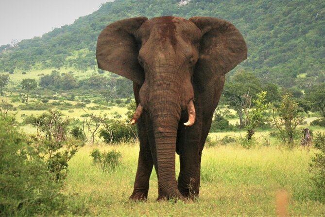 3-Day Tarangire, Lake Manyara and Ngorongoro - Who should book this safari